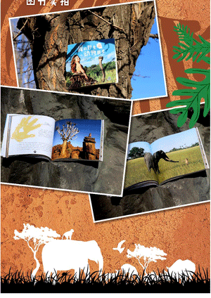 Tippi: My Book of Africa 我的野生动物朋友 - Hantastic Kids